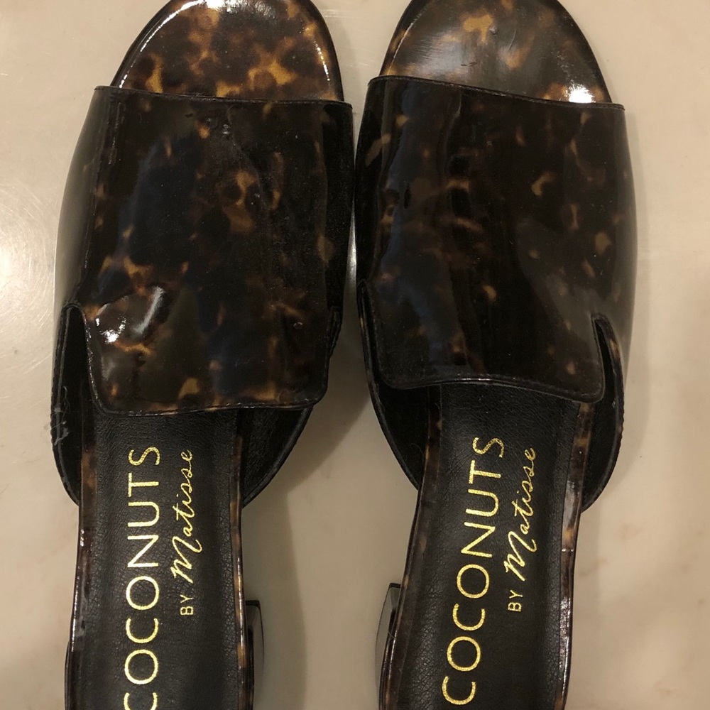 Coconuts by Matisse size 9